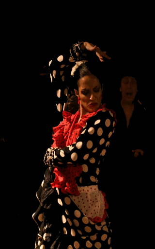 teatro flamenco en Japan